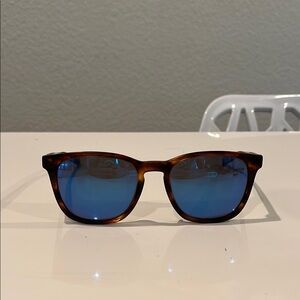 Costa Brown and Blue Wayfarer Sunglasses